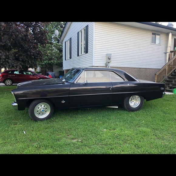 Meet your Posher, Tammy - Picture 7 of 16